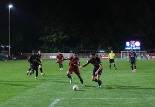 Beavers fall to Tudors at the Bev