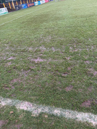 PITCH INSPECTION ALERT